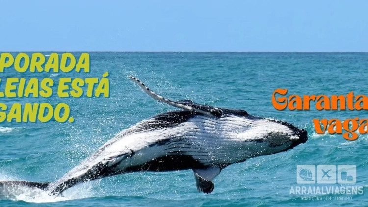 Imagem de vitrine
